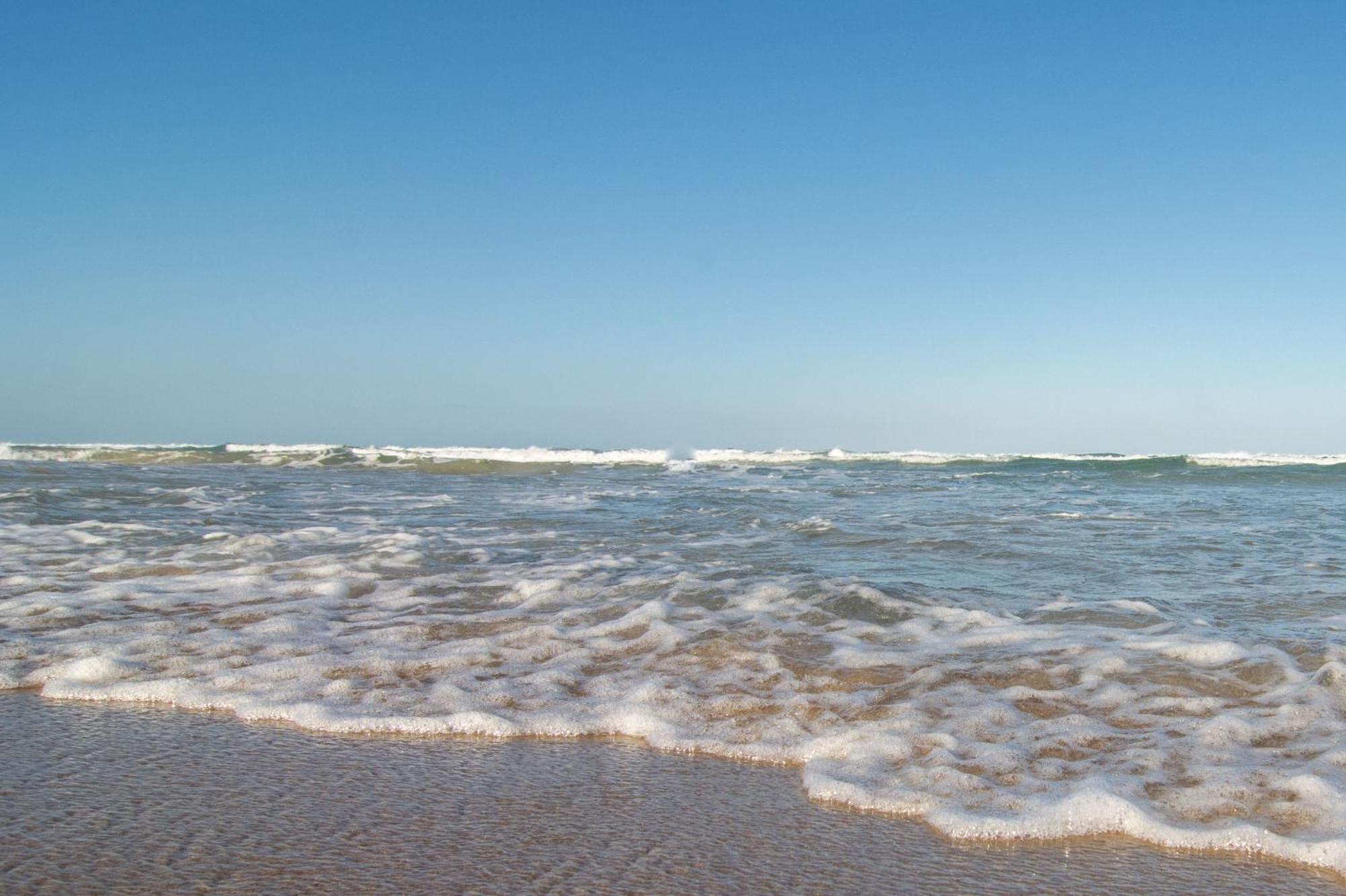 Localizacao Perfeita No Novo Campeche P473 Lejlighed Florianópolis Eksteriør billede